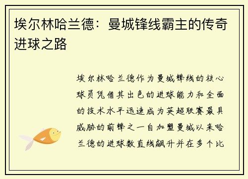埃尔林哈兰德：曼城锋线霸主的传奇进球之路