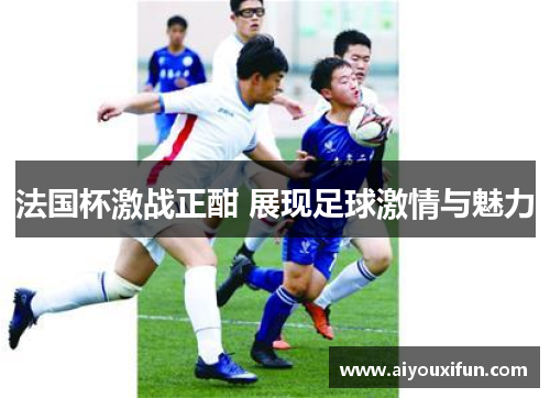 法国杯激战正酣 展现足球激情与魅力