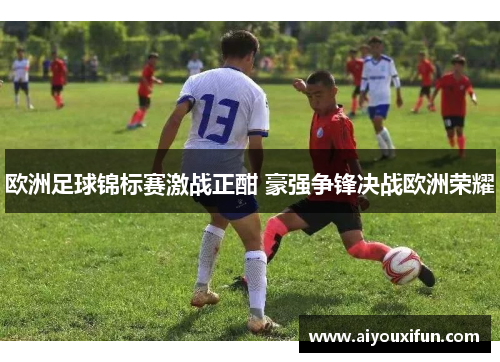 欧洲足球锦标赛激战正酣 豪强争锋决战欧洲荣耀