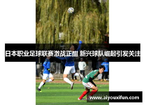 日本职业足球联赛激战正酣 新兴球队崛起引发关注
